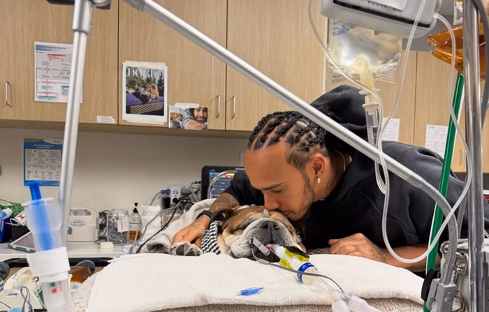 Lewis Hamilton Batal Ikut Tes F1, Temani Anjing Kesayangannya Roscoe yang Koma