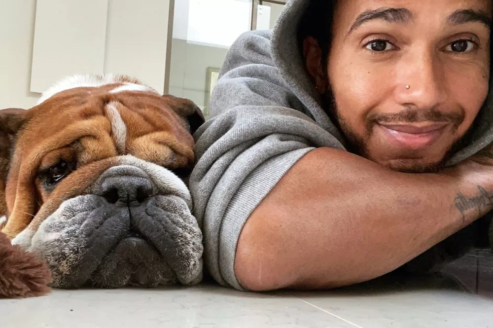Hamilton Terpukul oleh Kematian Anjingnya